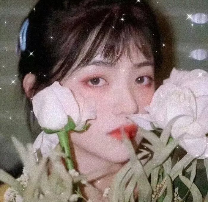 警戒第二季